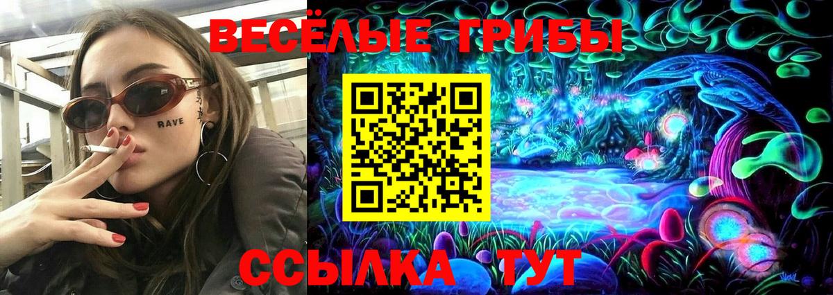 Коломна  Галлюциногенные грибы MAGIC MUSHROOMS  Псилоцибиновые грибы мицелий  Вход с VPN 
